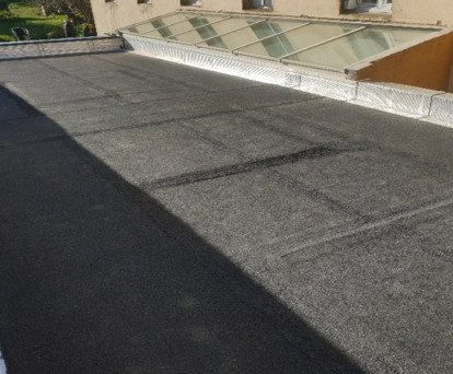 Aliquam erat volutpat. Nullam scelerisque auctor libero