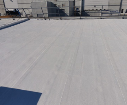 Aliquam erat volutpat. Nullam scelerisque auctor libero